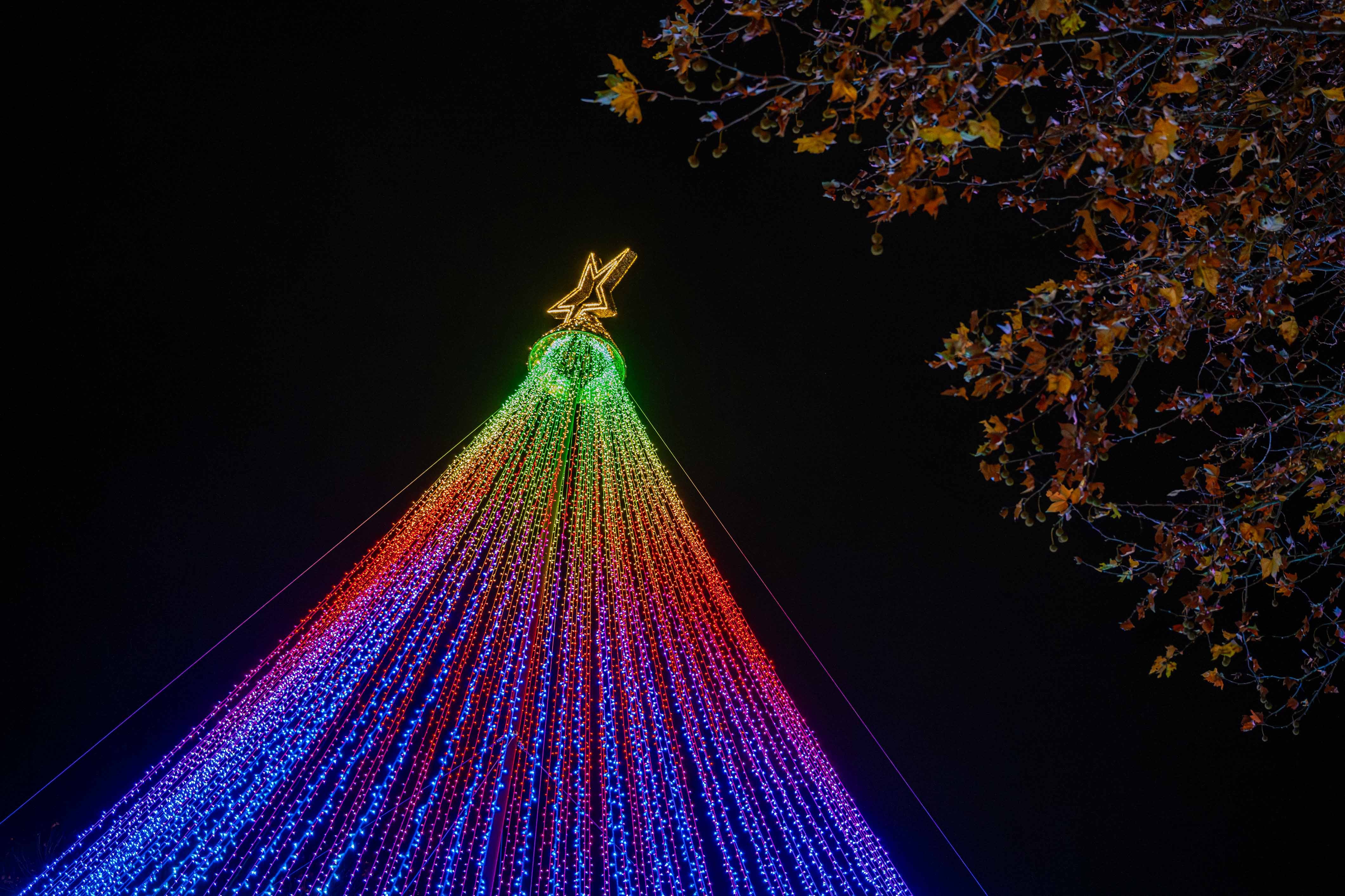 Carcassonne 2025 © Gilles Auteroche_Twinkly  (107)