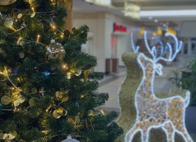 Carlingwood-Shopping-Center-Ottawa-Leblanc-illuminations-Canada-Chromex-illuminations