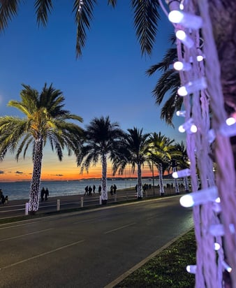 Nice_promenade_des_anglais_leblanc_illuminations (2)