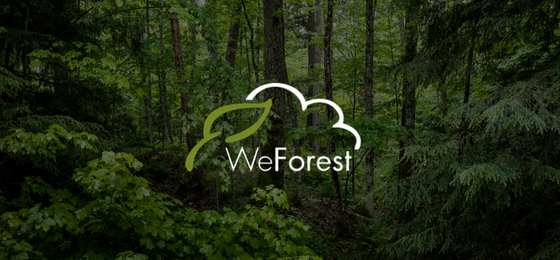 WE_FOREST_PNG