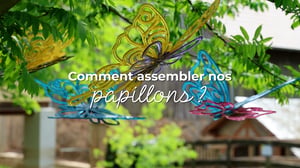video_assemblage_papillons